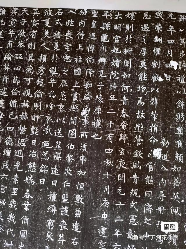 张姓女孩名字大全2022属虎（张姓女孩名字大全2020）