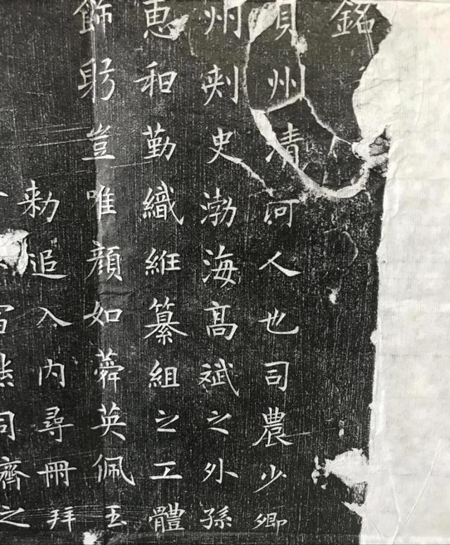 张姓女孩名字大全2022属虎（张姓女孩名字大全2020）