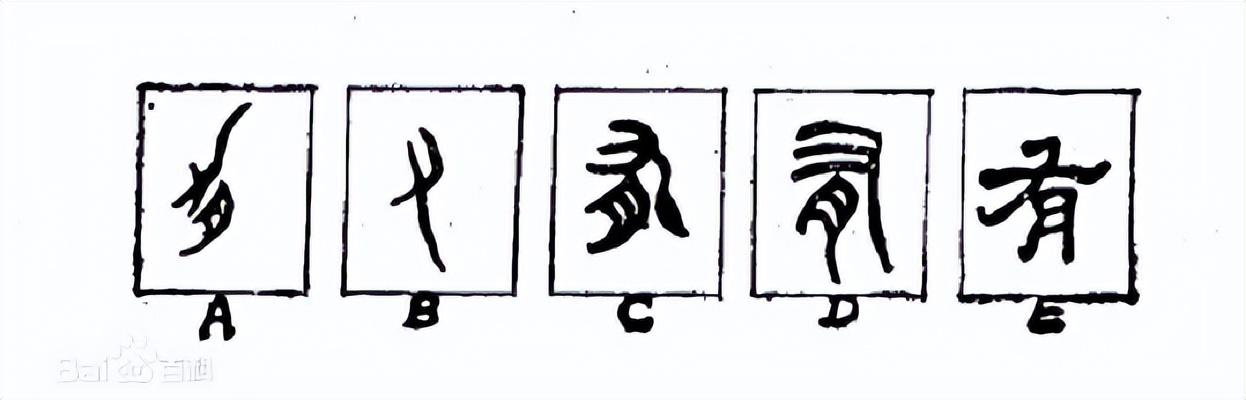 伊姓怎么读音（伊姓怎么读拼音）