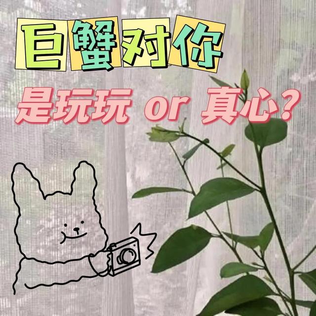 巨蟹男玩你最明显的表现是什么？巨蟹男玩你最明显的表现是什么意思！