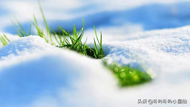 温柔却不好惹的星座女排行？温柔却不好惹的星座女排行榜！