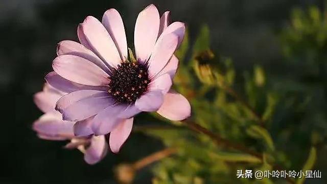 巨蟹座一辈子纠缠的星座男？巨蟹座一辈子纠缠的星座男生！