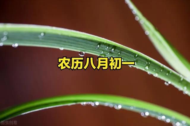 查一下明天的日子好不好老黄历明天的日子好不好明天日子好不好老黄历查询今天日子好不好！