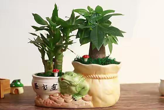 今日什么颜色旺财2020！今日什么颜色旺财2020年4月17日