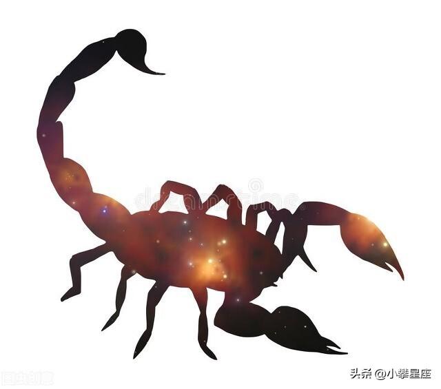 天蝎男被你吸引的表现有哪些？天蝎男被你吸引的表现有哪些特征！