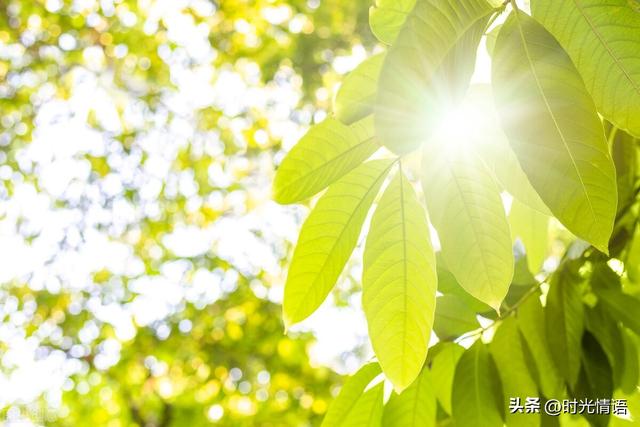今天天干地支是什么日子_万年历今天农历天干地支是什么日子！