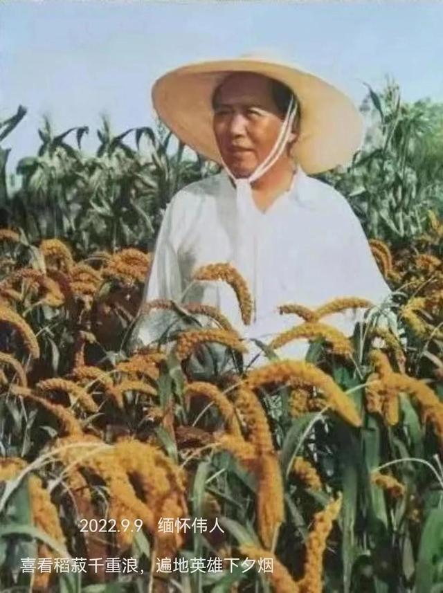 今天什么日子老黄历宜忌!今天老黄历是什么日子好吗_