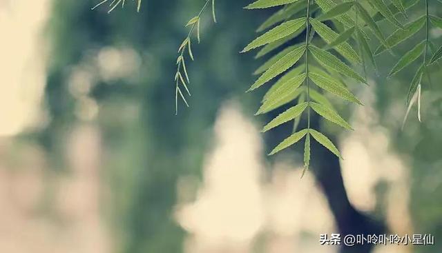 温柔却不好惹的星座女排行？温柔却不好惹的星座女排行榜！