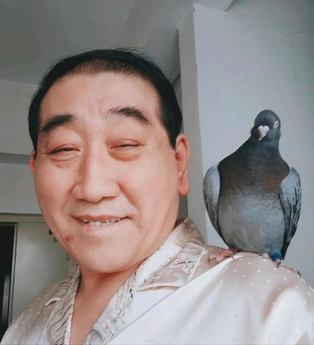 梦见鸽子是什么预兆_周公解梦梦见鸽子是什么预兆_周公解梦女人！
