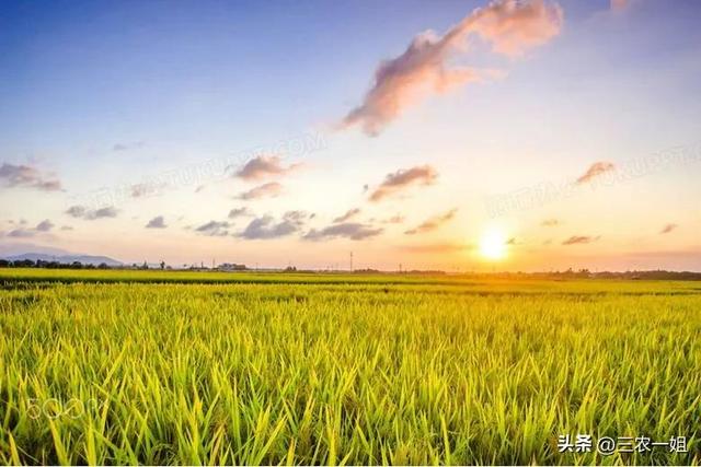 今天农历几号阳历几号报一下今天农历几号阳历几号保养！