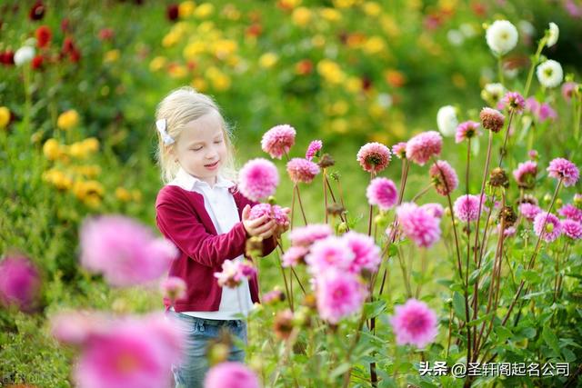 女孩名字2022年名字大全免费瑞万一生了小公主，就这样起名，邻居听了都哇塞女孩名字2022年名字大全免费