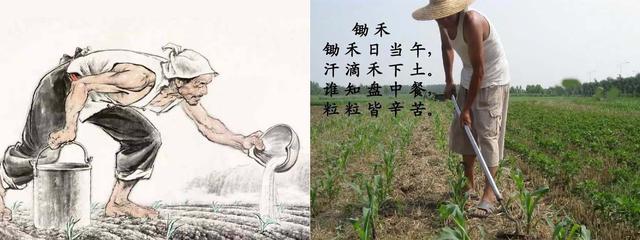 关于白姓历史名人（白姓出名人物）
