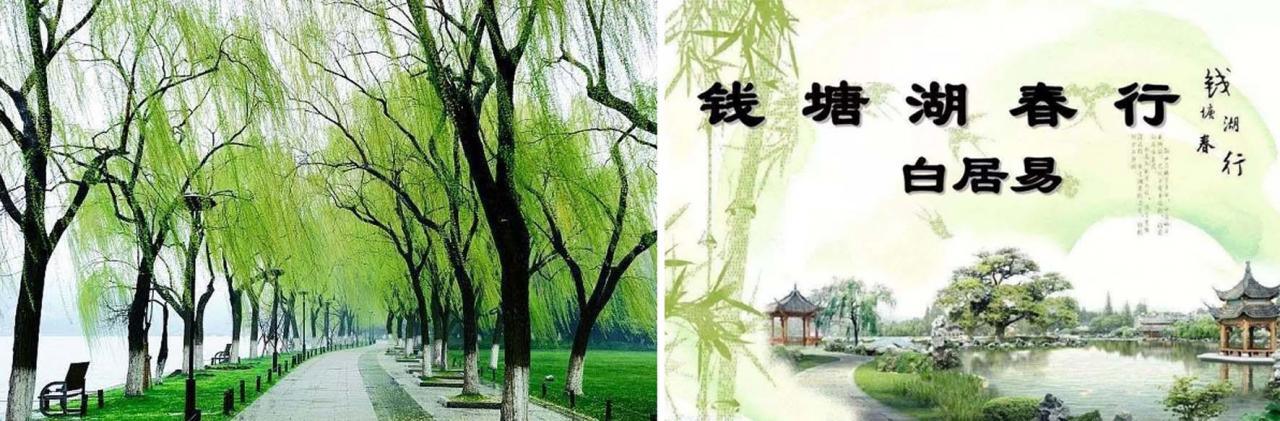 关于白姓历史名人（白姓出名人物）