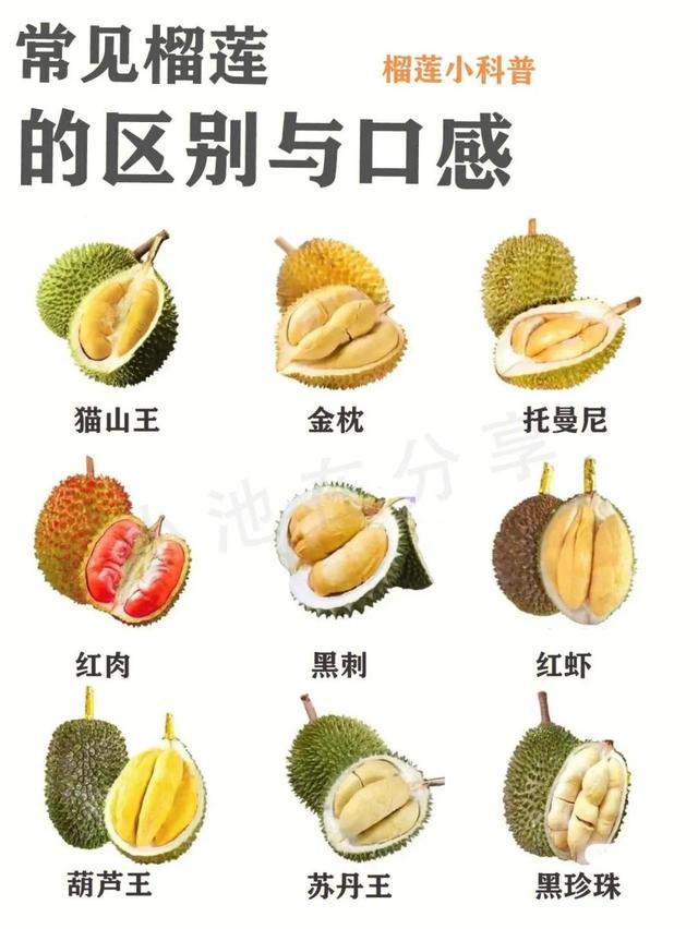 梦到榴莲是什么意思做梦梦到榴莲是什么意思!