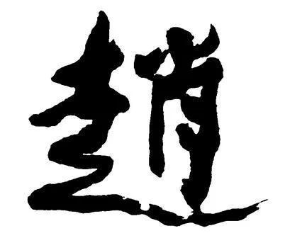 赵姓好听稀少的女孩名字双胞胎赵姓宝宝起名赵姓好听稀少的男孩名字