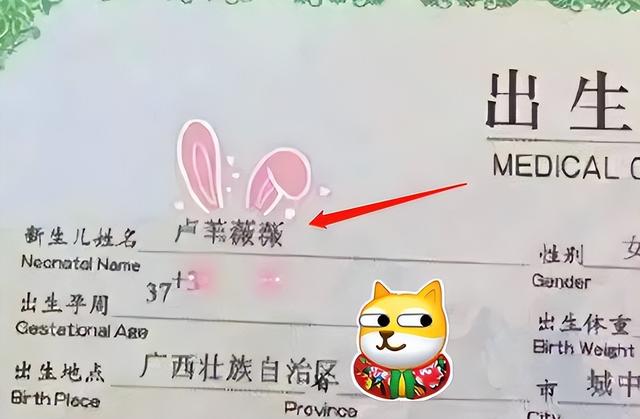 李姓取名字大全男孩两个字姓李的男孩名字大全两个字