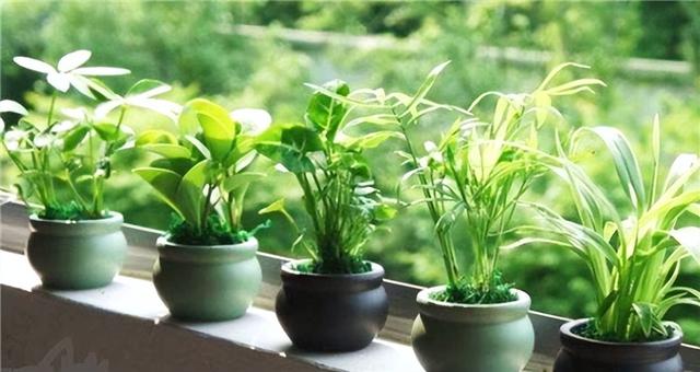 辟邪最厉害的10种东西？辟邪佩戴什么好！