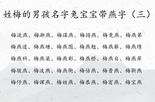 梅姓氏起名男宝宝名字 梅姓男孩名字高端大气三个字的