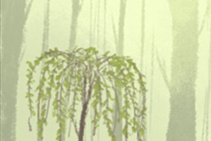 最霸气的家族名字