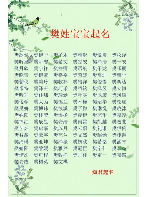 樊姓猪年宝宝起名大全 樊姓宝宝取名大全