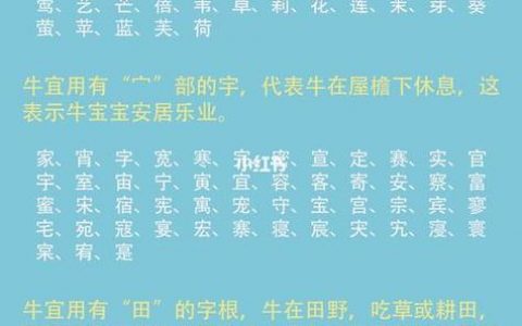 新疆维吾尔族姓氏大全 常见人名列表 | 起名取名网