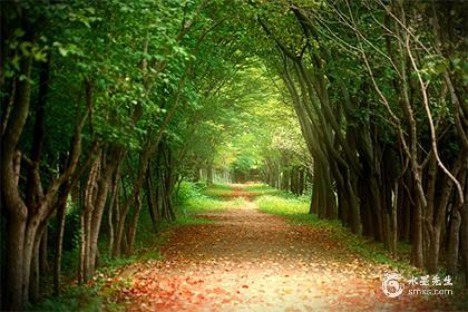 025蛇最旺男孩名字_1"