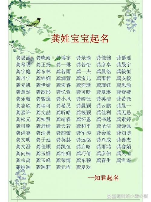 宝宝起名龚姓取名字男孩 龚姓男孩起名洋气