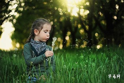 禹姓在百家姓全国人口排第几？哪个地方禹姓最多人