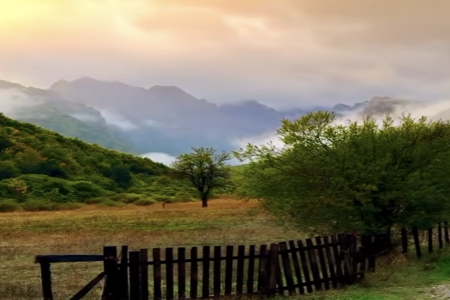 2025蛇年男宝宝如何起一个吉祥的名字