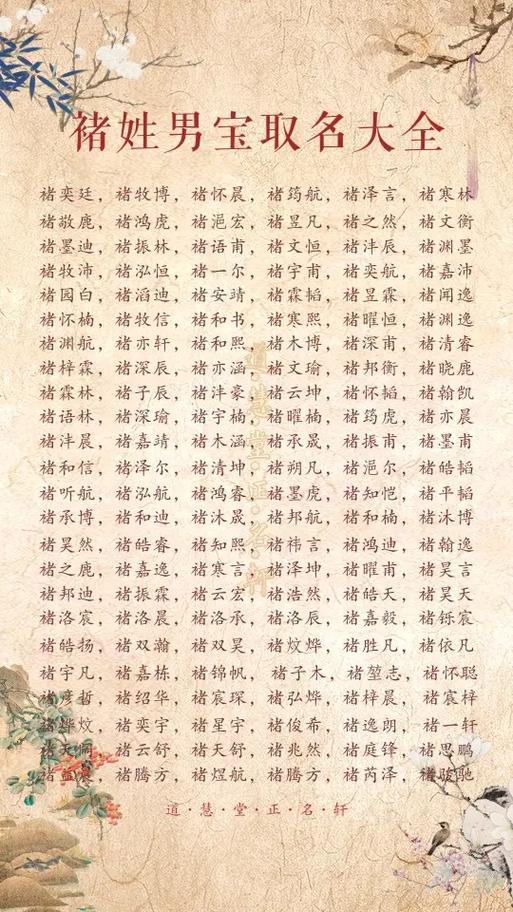 褚姓宝宝取名女 褚姓小孩取名