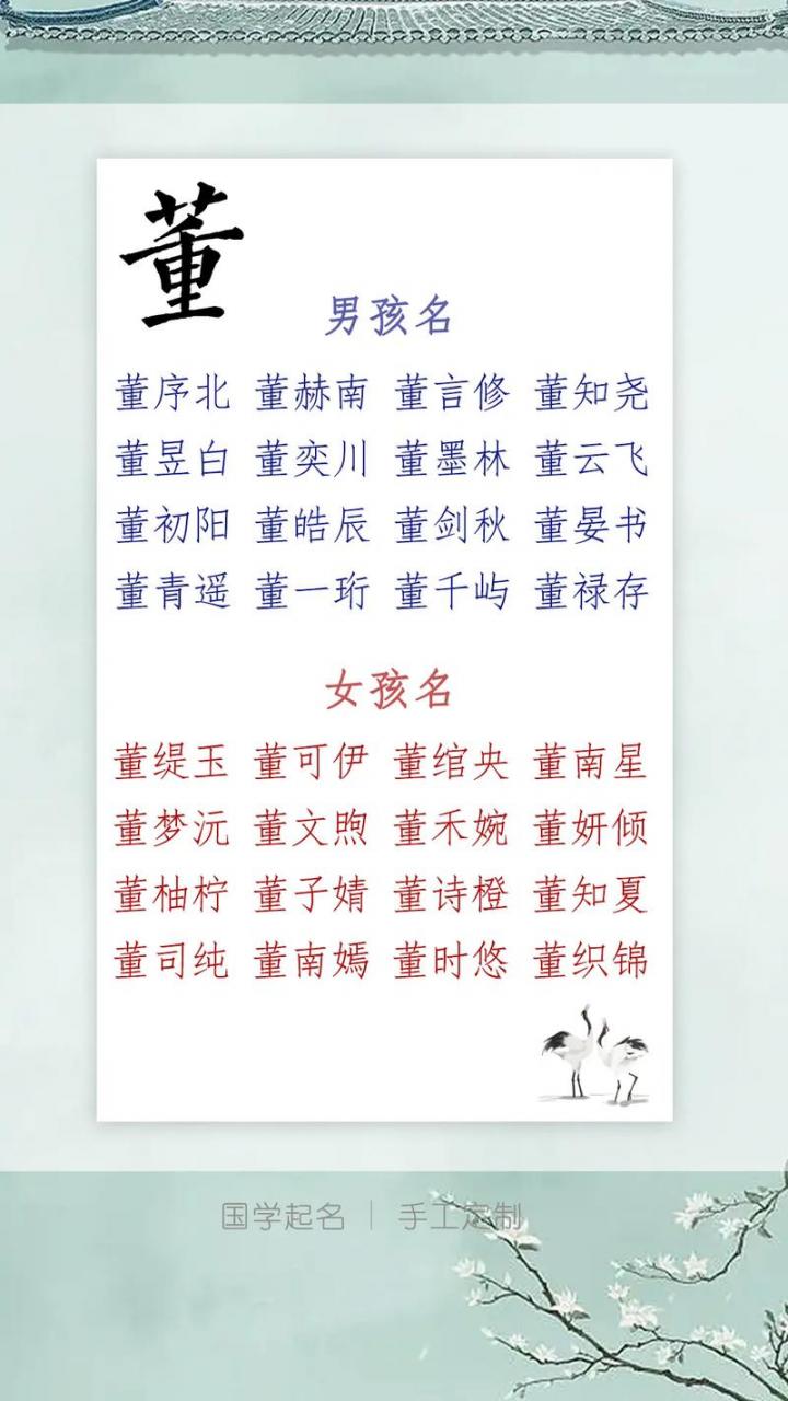 姓董的小宝宝起名字 董姓宝宝今年取名