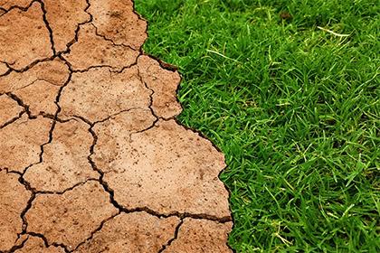 022年九月五行缺什么？2022年九月出生的女宝名字"