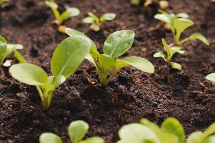 022年男宝宝缺木的小名有哪些？五行缺木怎么起乳名"