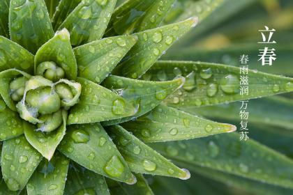 022年立春出生的女孩八字缺土灵动气质的名字推荐"