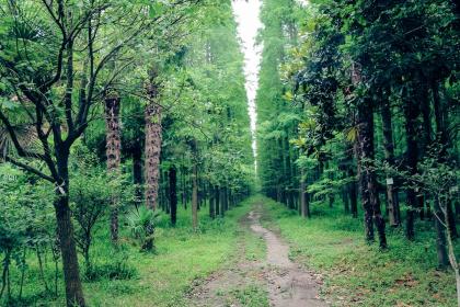 021年农历八月初六出生的男孩五行如何，好听有内涵名字推荐"