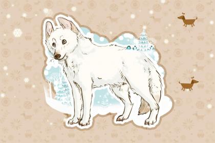 男孩名字2018属狗大全