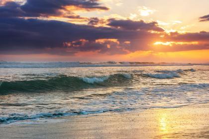 022年除夕出生女孩五行喜木取名大全"
