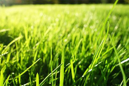 019年9月28号午时出生的男孩如何起取个好听还好写的名字和五行属性"