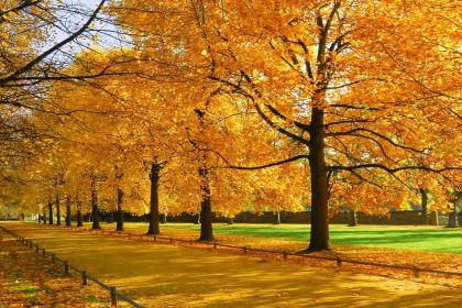 019年五月初三出生的双胞胎女孩起什么名字好听，五行属什么"