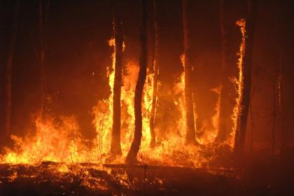 019年8月14号子时出生的女孩有什么参考取名，五行属什么"