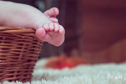 022壬寅年出生属虎起名宜用字大全！"