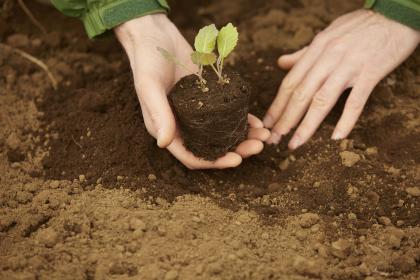 019年7月6号未时出生的女孩起名的方法，和五行八字。"