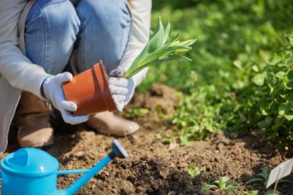 021牛年三月三出生命里缺金的女孩取什么名字好？"