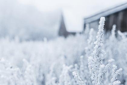 019猪年劳动节出生男孩五行缺木怎么样起名字"