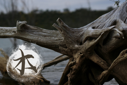 019年5月13号出生的女宝宝五行缺水要怎么起名字"