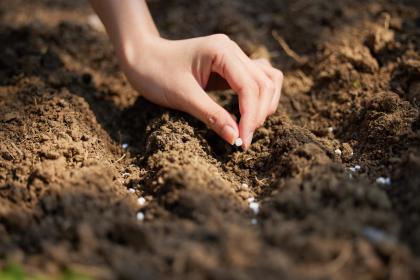 018年10月6日出生男孩如何起名？宝宝五行起名怎么取？"