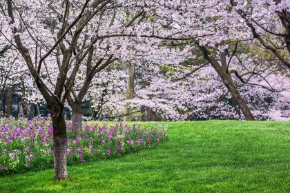 022年二月五行缺什么？2022年农历二月出生的男孩子起名"