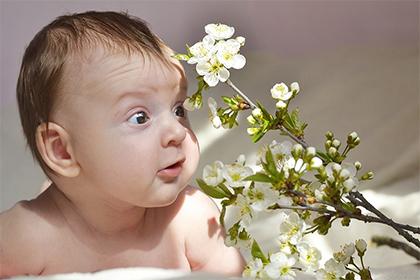 022虎年农历六月初九日小暑五行缺土的女宝宝名字"