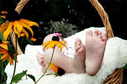 022年小寒节气出生的宝宝洋气时尚的乳名"