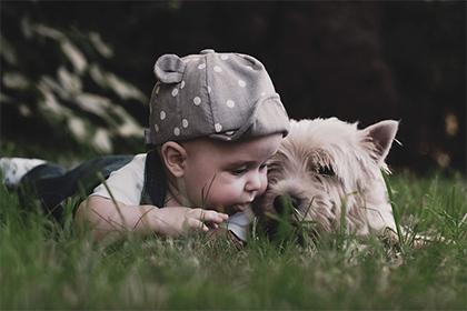 022年8月出生的男宝宝名字，属虎的男孩子取名大全"